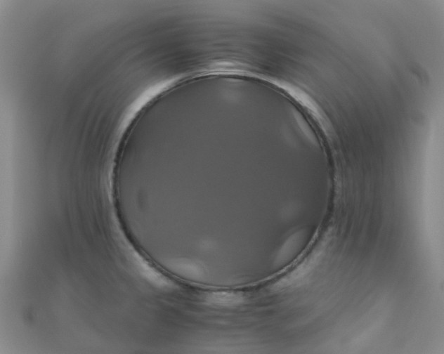 X0000110991333200907022109