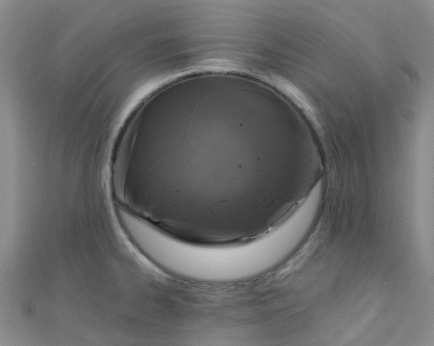 X0000110991334200907022109