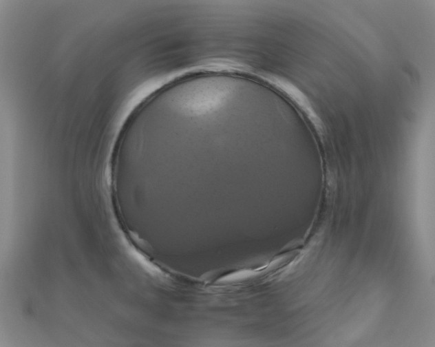 X0000110991335200907022109
