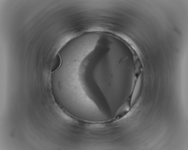 X0000110991337200907022109