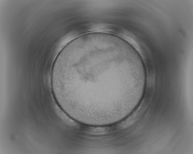 X0000110991338200907022109