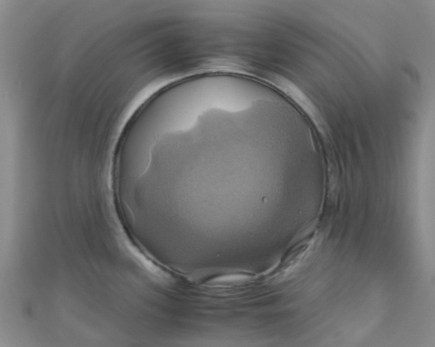 X0000110991339200907022109