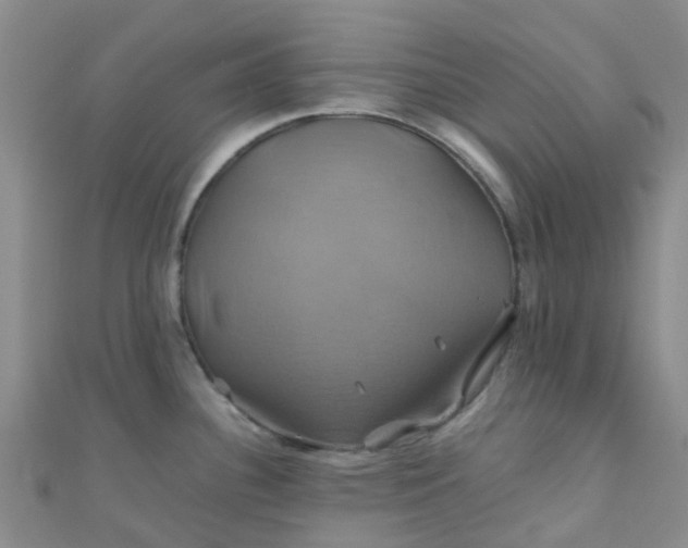 X0000110991340200907022109