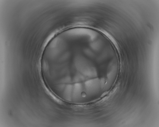 X0000110991341200907022109