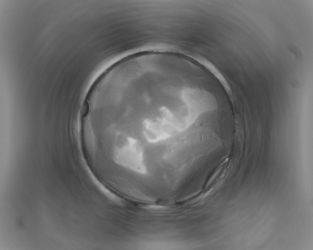 X0000110991343200907022109