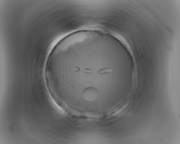 X0000110991344200907022109