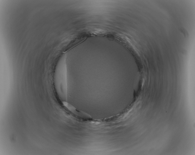 X0000110991345200907022108