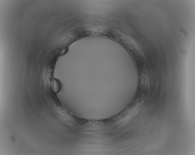X0000110991346200907022108