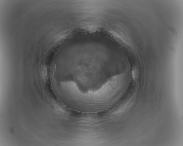 X0000110991347200907022108