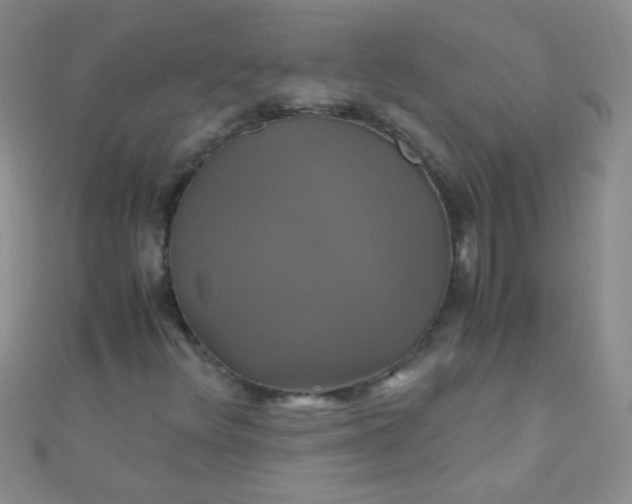 X0000110991348200907022108