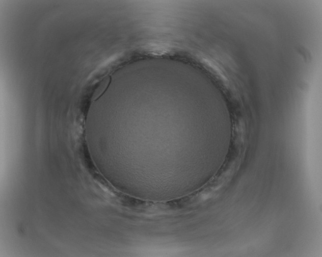 X0000110991349200907022108
