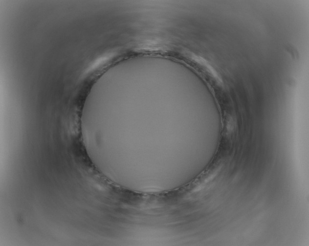 X0000110991350200907022108
