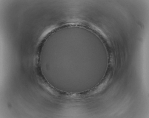 X0000110991352200907022108