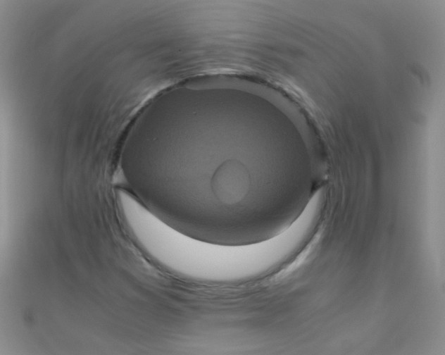 X0000110991353200907022108