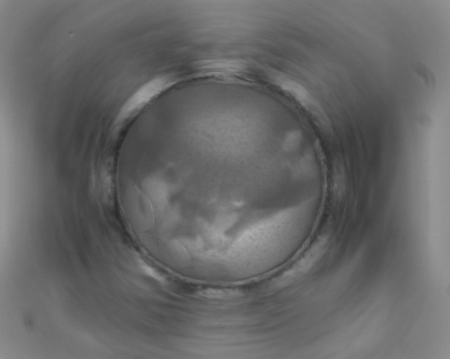 X0000110991354200907022108