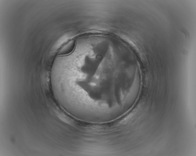 X0000110991355200907022108