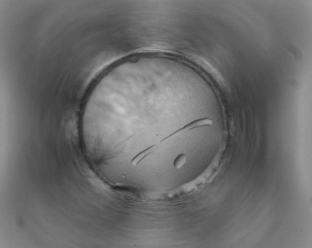 X0000110991356200907022108