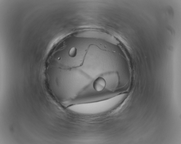 X0000110991357200907022108