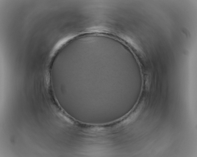X0000110991358200907022108
