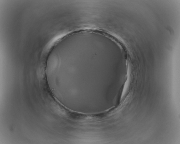 X0000110991359200907022108