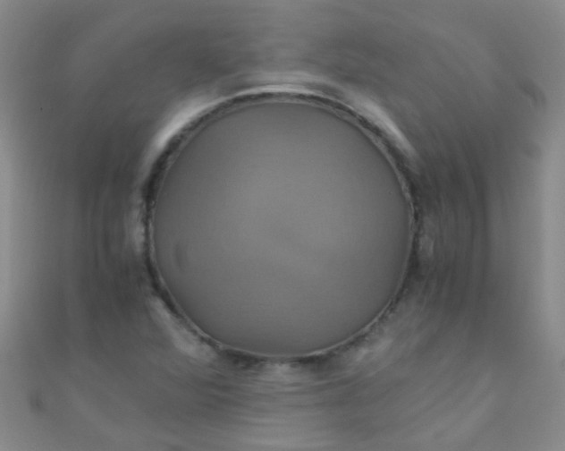 X0000110991360200907022108