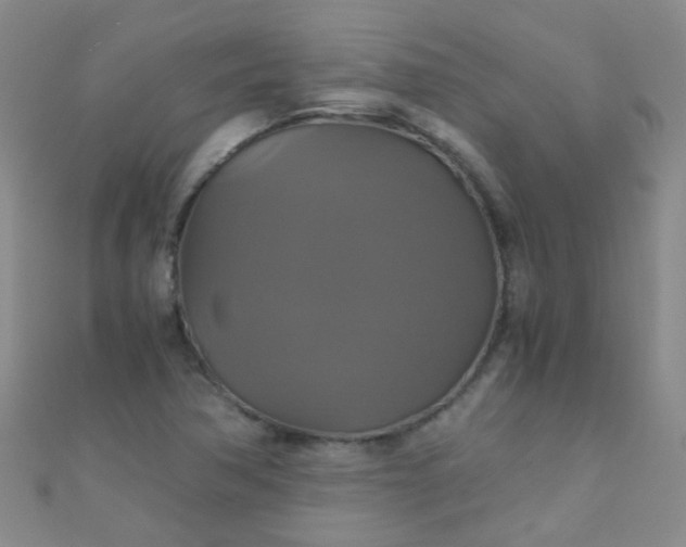 X0000110991362200907022108