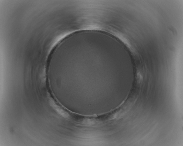 X0000110991364200907022108