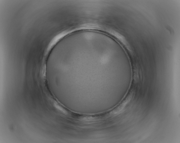 X0000110991366200907022108