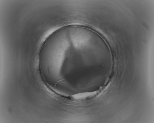 X0000110991367200907022108
