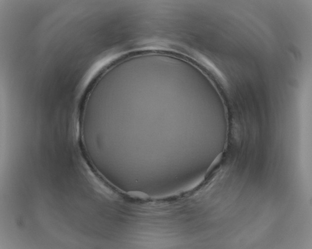 X0000110991368200907022108