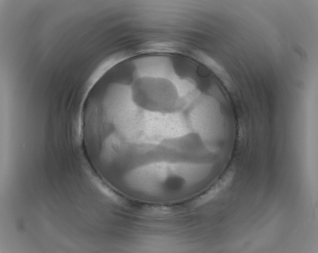 X0000110991370200907022108