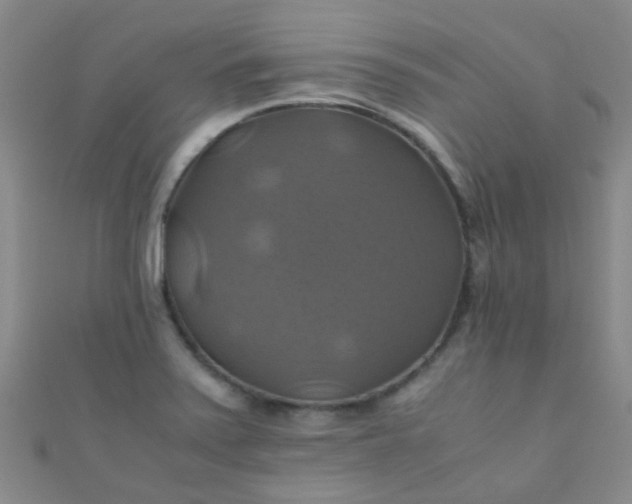 X0000110991371200907022108