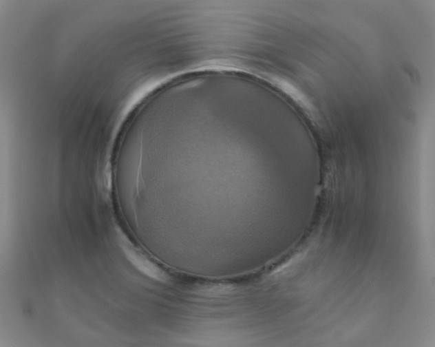 X0000110991372200907022108