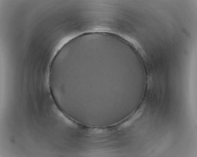X0000110991374200907022108