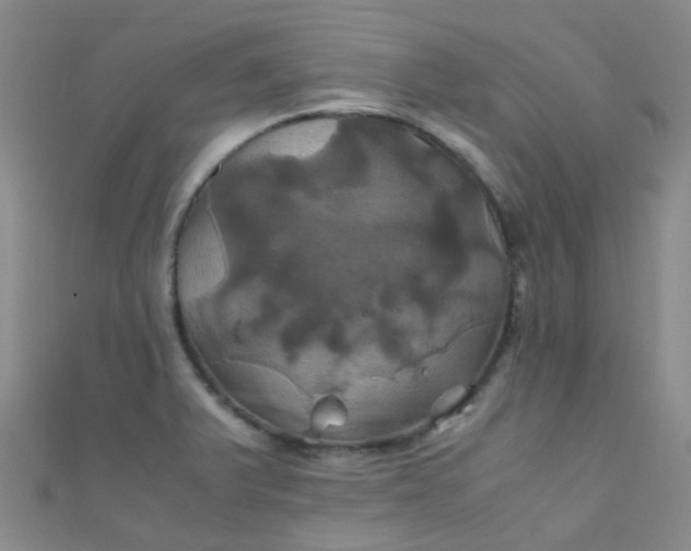X0000110991375200907022108