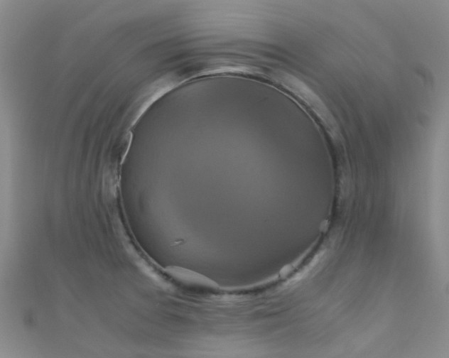 X0000110991377200907022108