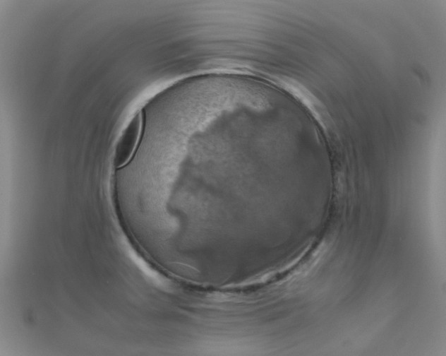 X0000110991379200907022108