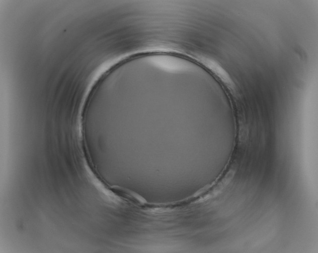 X0000110991380200907022108