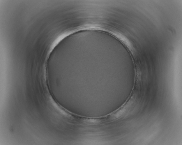 X0000110991382200907022108