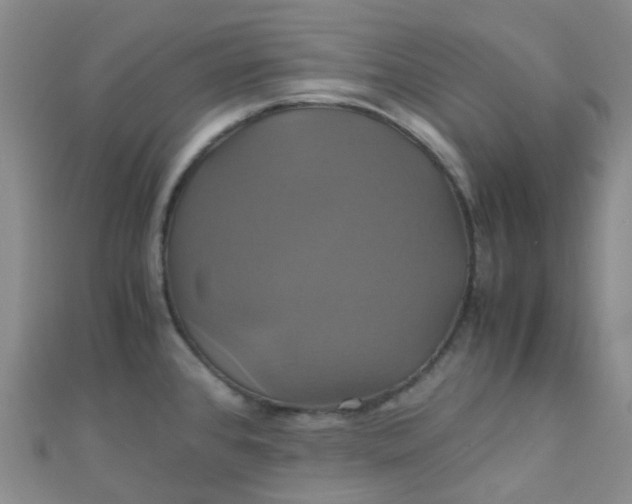 X0000110991384200907022108