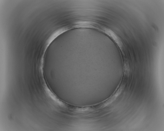 X0000110991386200907022108