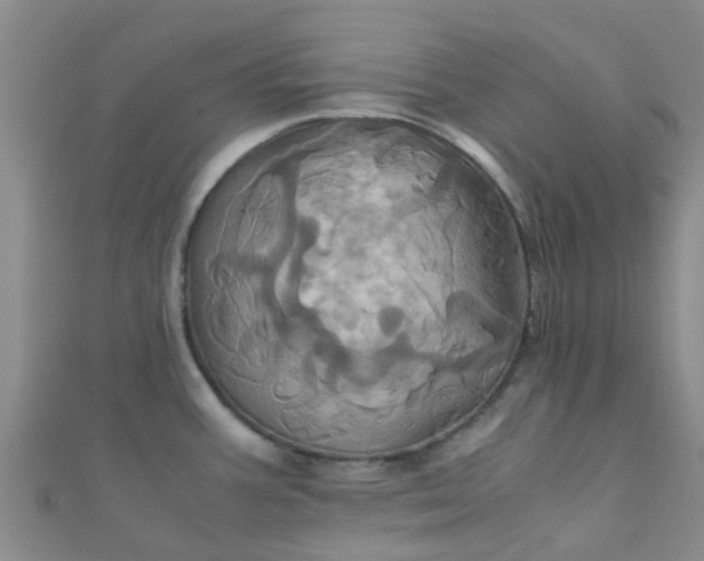 X0000110991387200907022108