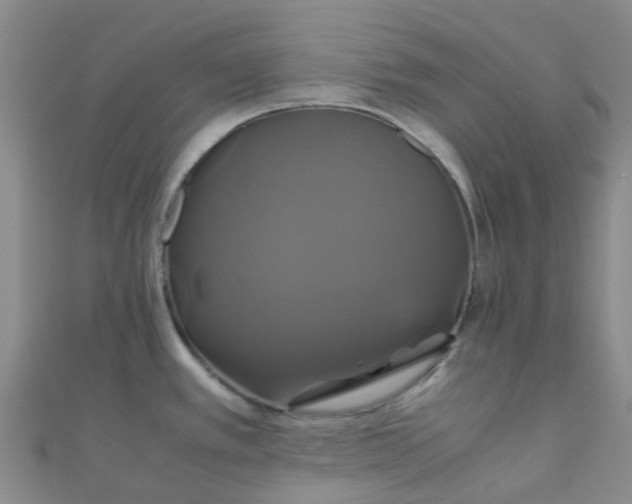 X0000110991389200907022108