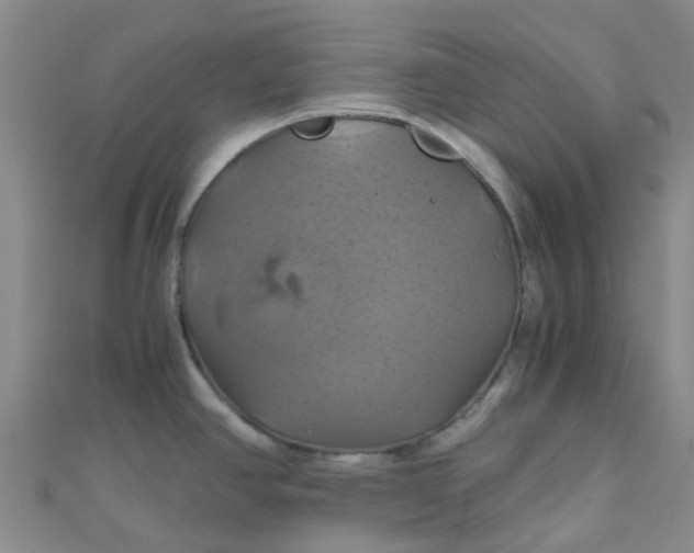 X0000110991390200907022108