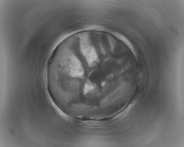 X0000110991391200907022108