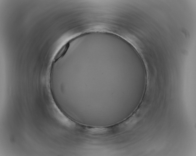 X0000110991392200907022108