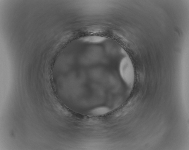 X0000110991393200907022107