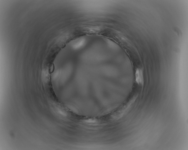 X0000110991395200907022107