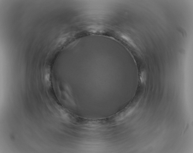X0000110991396200907022107