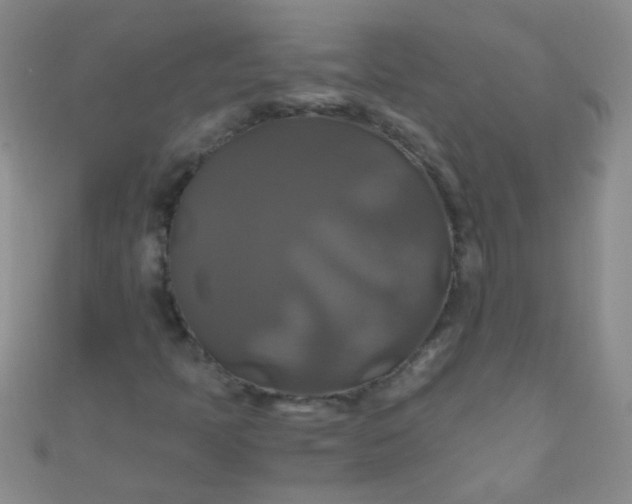 X0000110991397200907022107